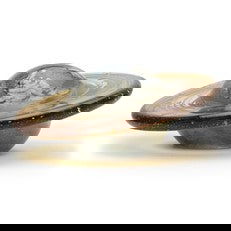 Paperweight Saturn - Stained Glass Express