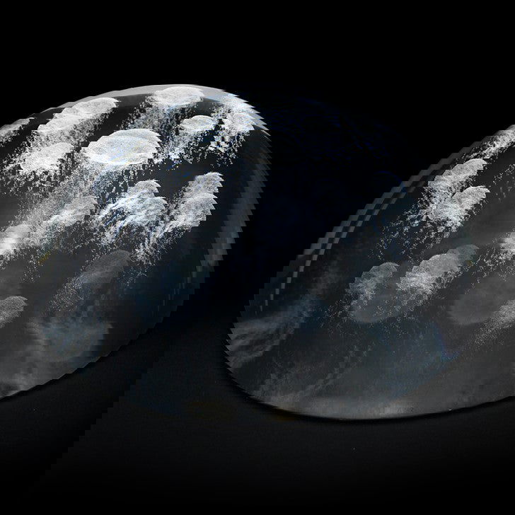 Paperweight Sea Nettle Jellyfish - Stained Glass Express