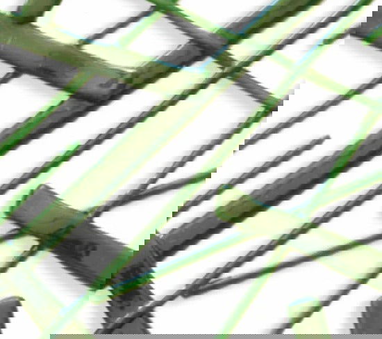 96 Coe Stringer Opal