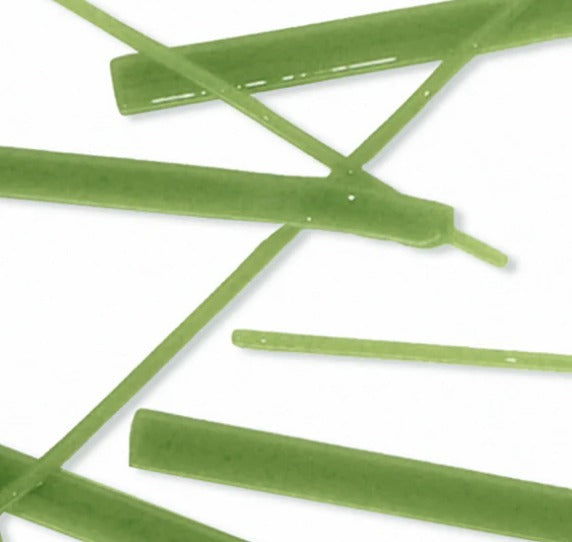 96 Coe Stringer Opal