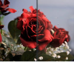 Saint-Just Clear Colonial Restoration Glass - Stained Glass Express