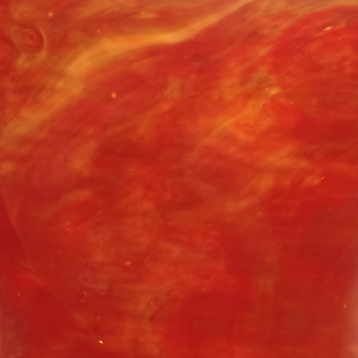 Salmon, Red Iridescent