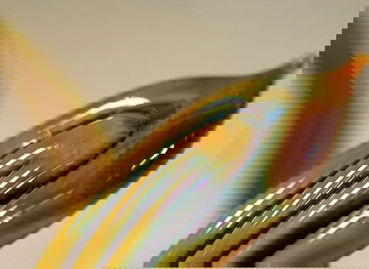 Sasha Oil Slick Rod 33 COE - Stained Glass Express