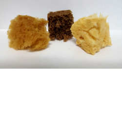 Sea Sponge - Stained Glass Express