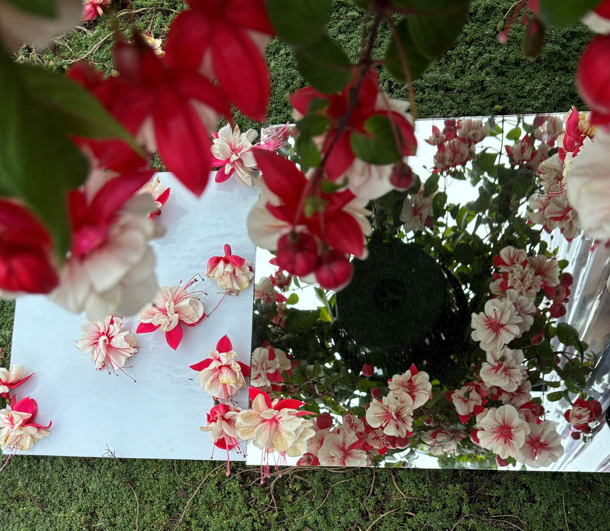 Solid Irid White Opal - Stained Glass Express