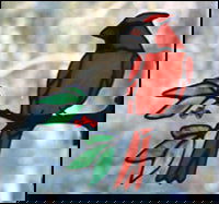 Stained Glass Cardinal on Branch Small - Stained Glass Express