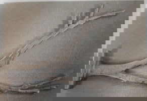 Standup Branch - Stained Glass Express