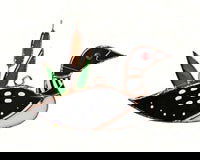 Suncatcher Loon - Stained Glass Express