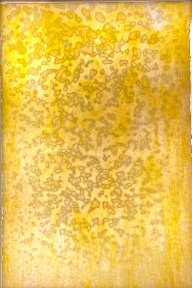 Two Yellows - Stained Glass Express