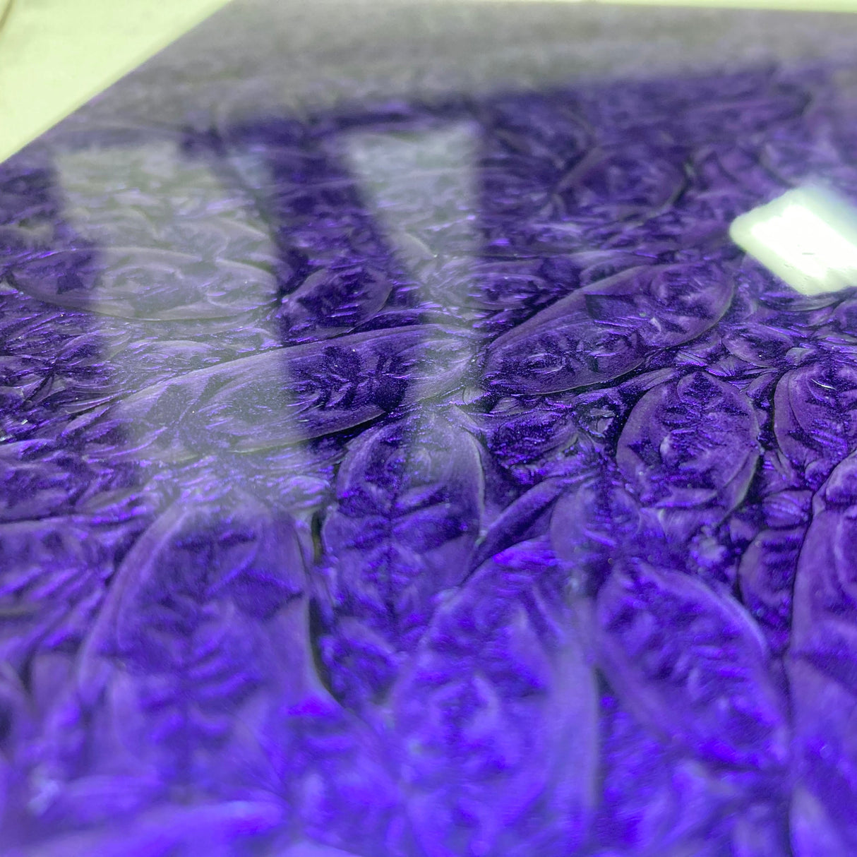 Express Pack 'Ear You Go, Van Gogh