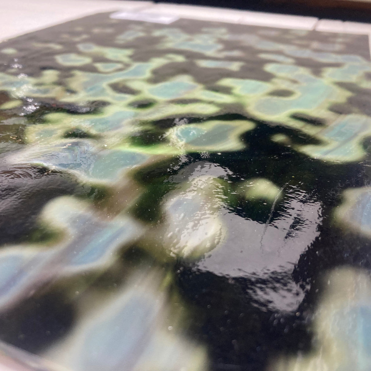 Chrome Green and Dark Brown Oceana