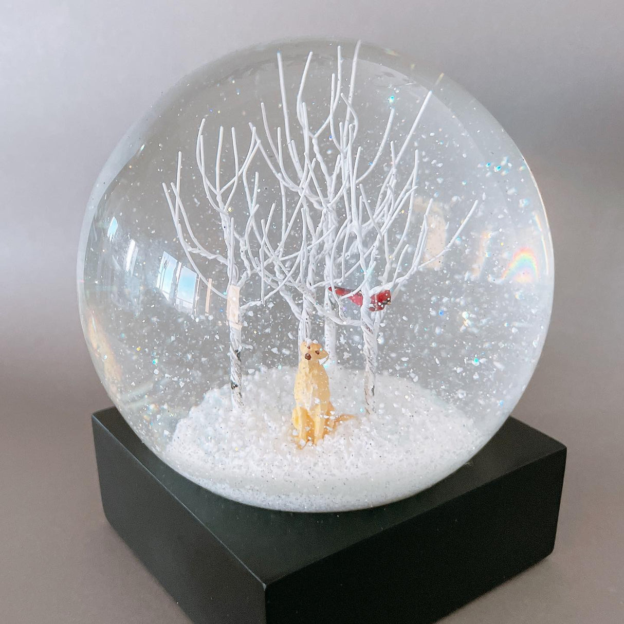 Snow Globe Lab In The Woods