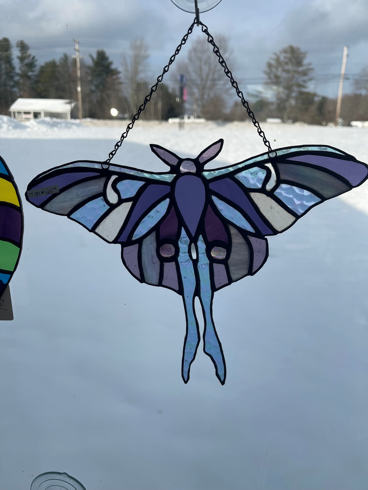 Luna Moth