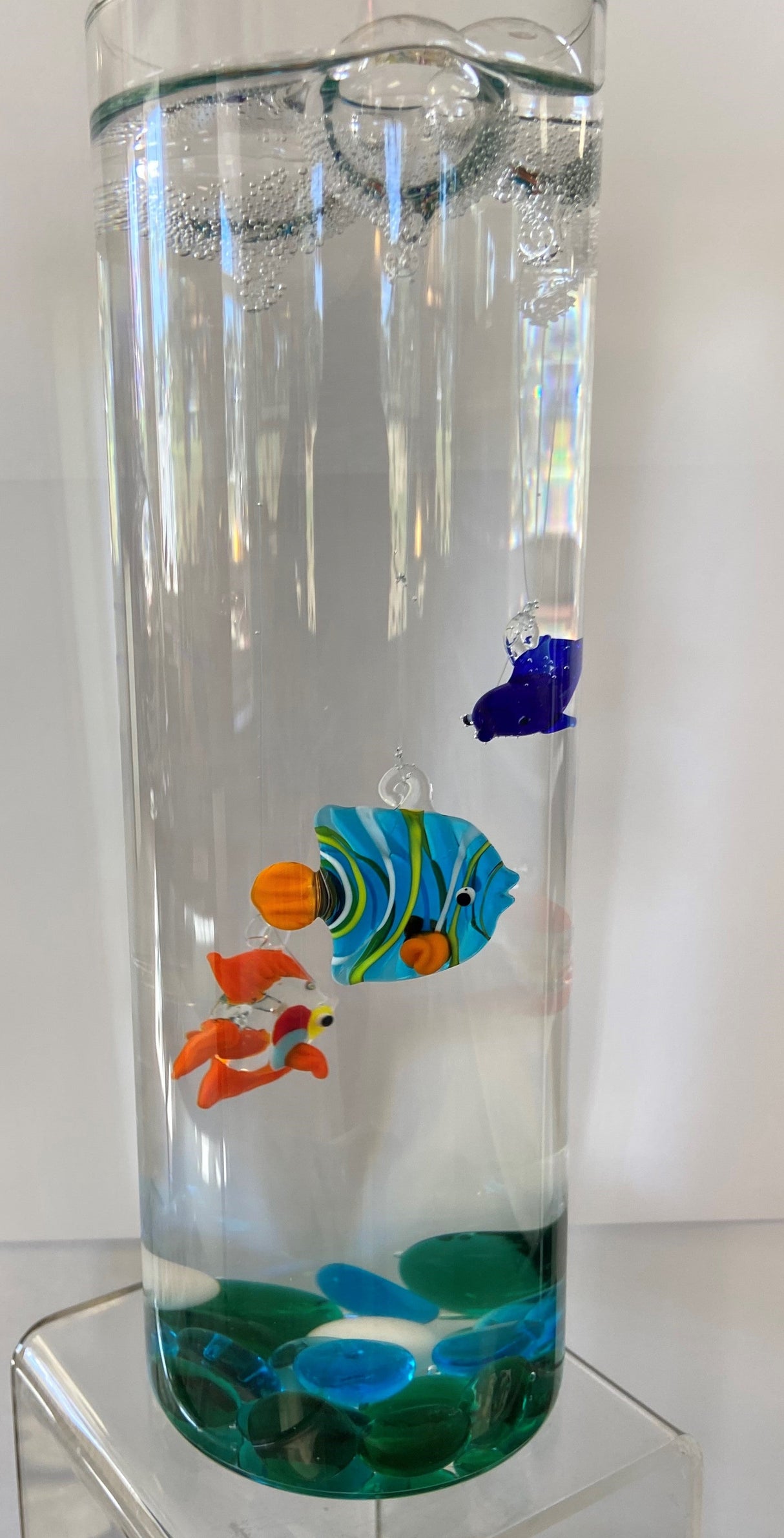 Floating Fish