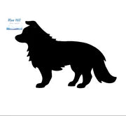 Precut Dog Border Collie