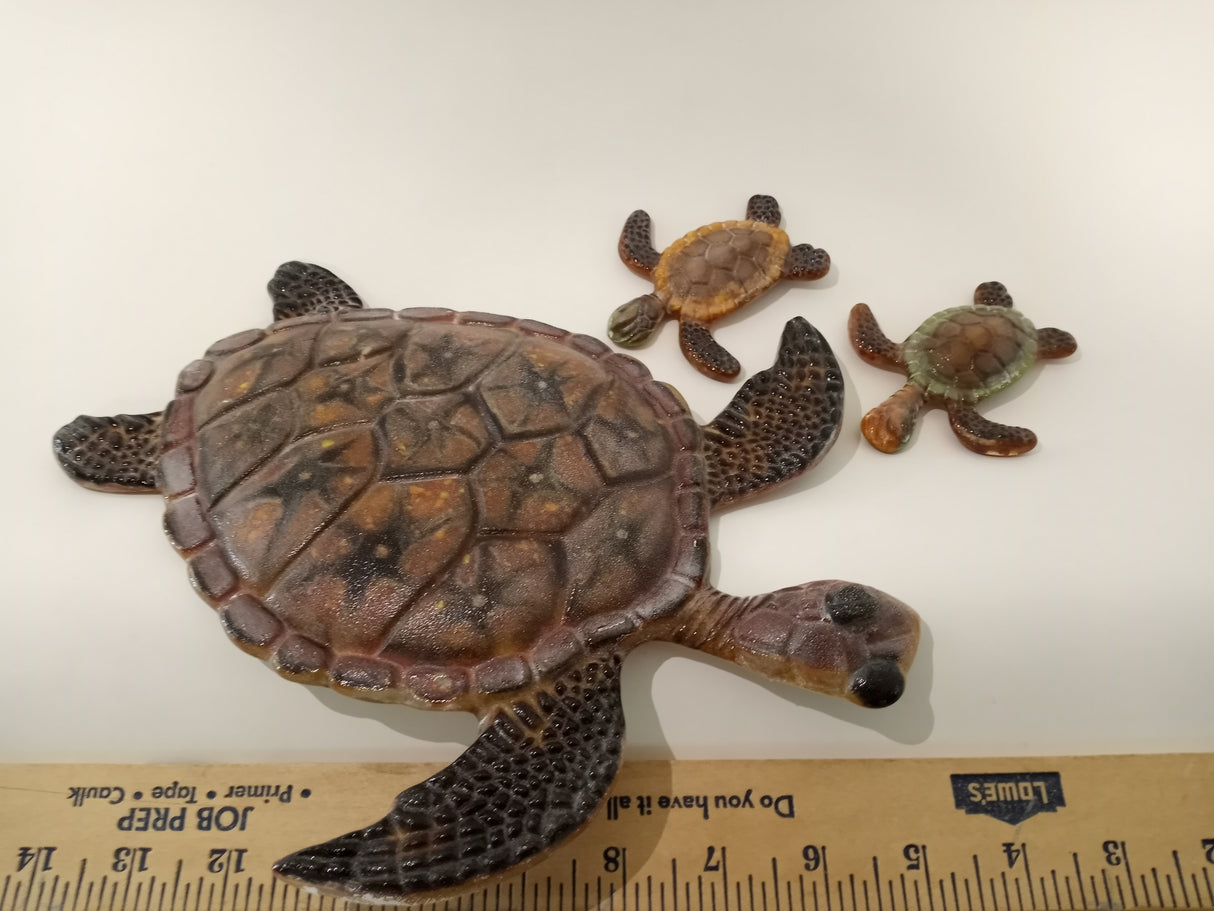 turtle mold large and small