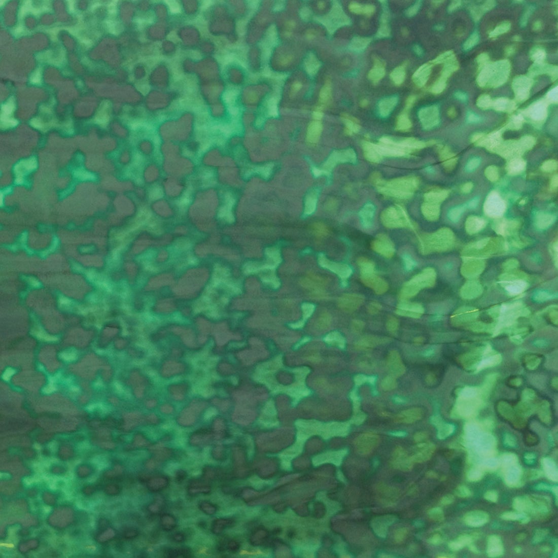 Teal and Dark Green Oceana