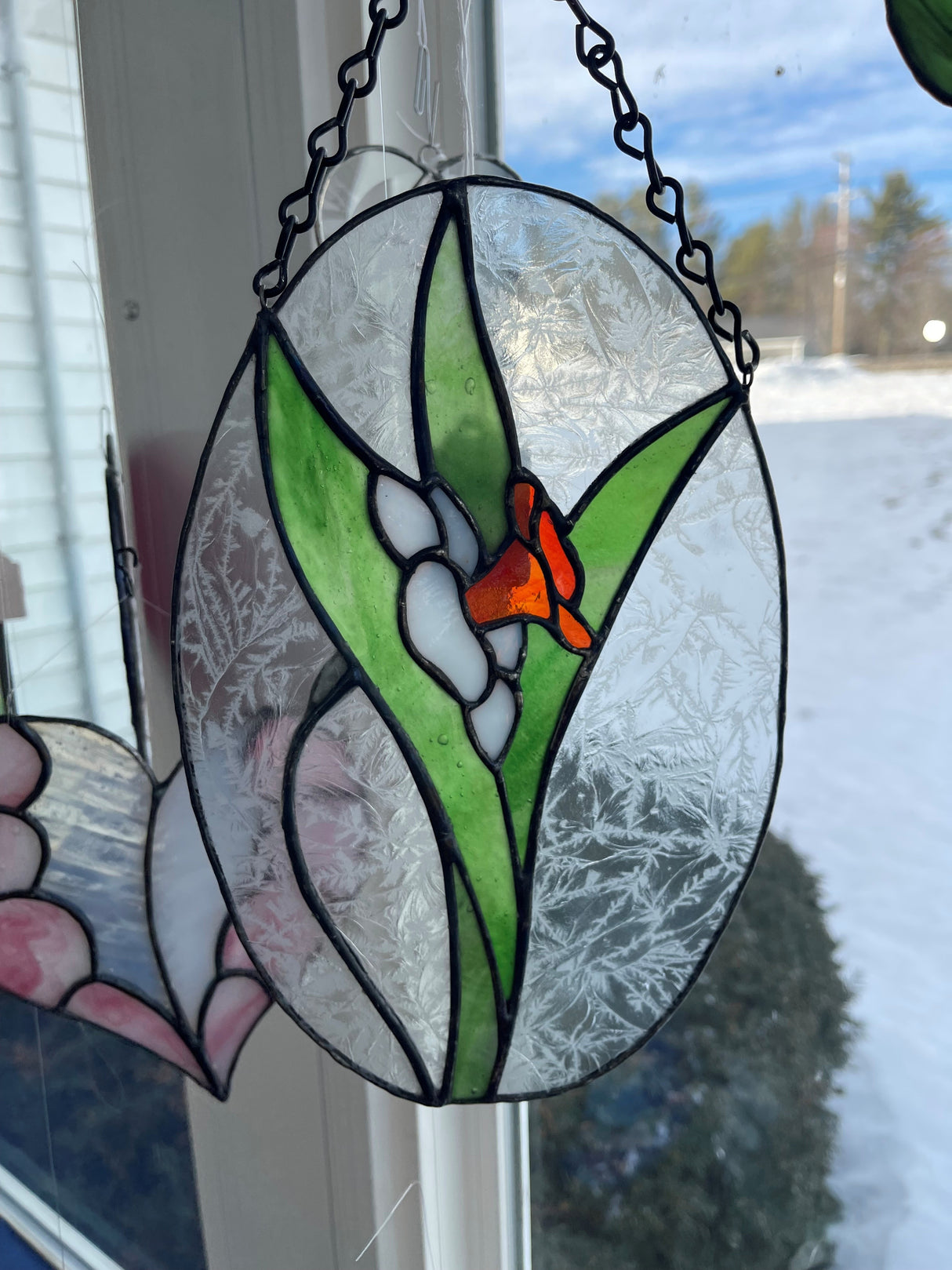 Daffodil Oval