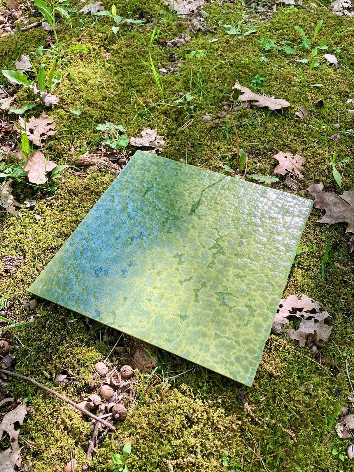 Avocado Green Opal High Strike