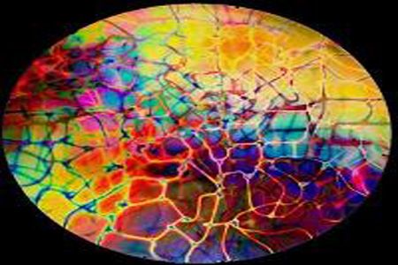 90 Coe Dichroic Mix on Black Reptillian