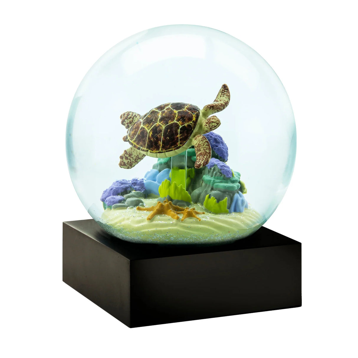 sea turtle snow globe