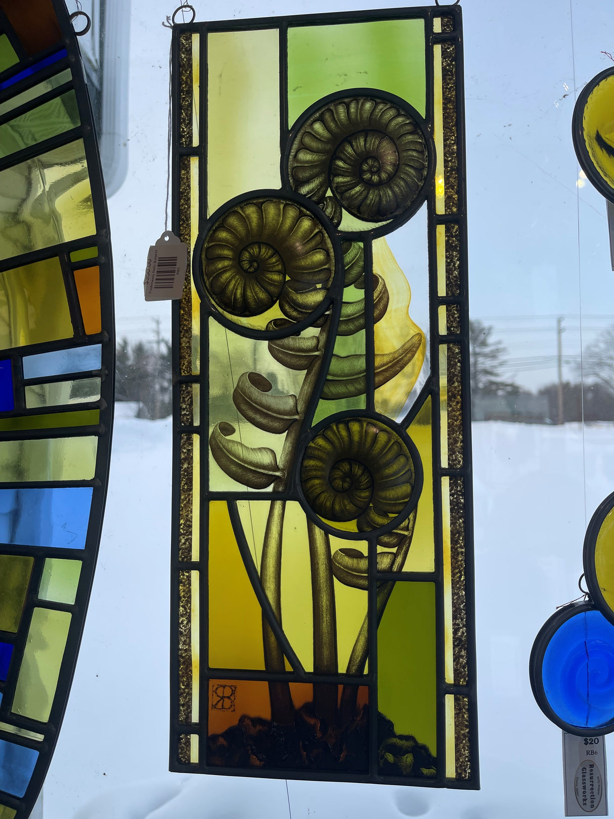 Fiddleheads by Reilly Burgess