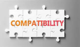 OCEANSIDE COMPATIBLE, BULLSEYE COMPATIBLE, 96 COE, 90 COE