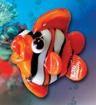 Coral Fish