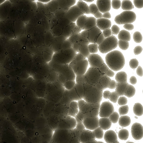 90 Frit Transparent Coarse Gray