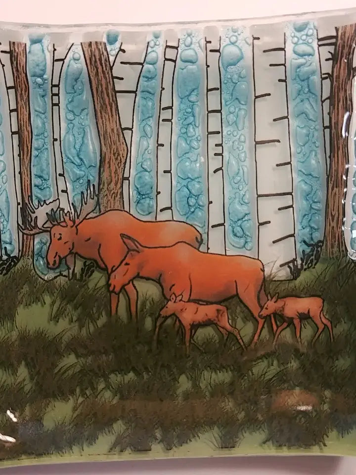 DISH MOOSE