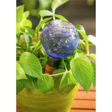 Watering Globe