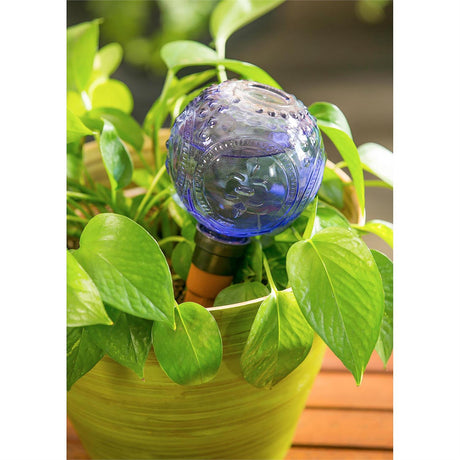 Watering Globe