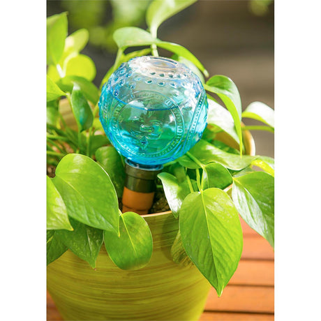 Watering Globe