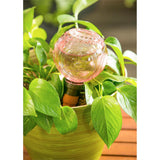 Watering Globe