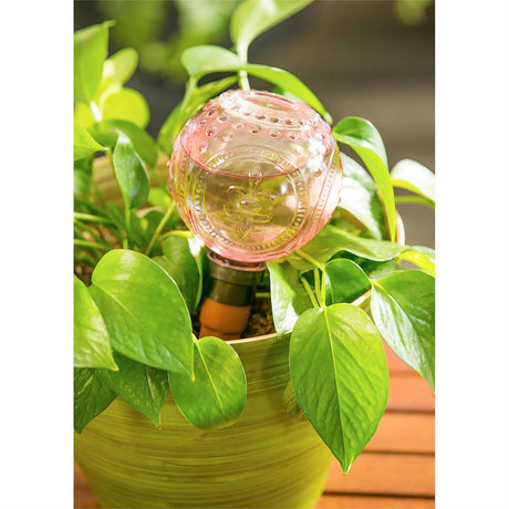 Watering Globe