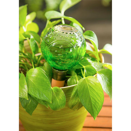 Watering Globe