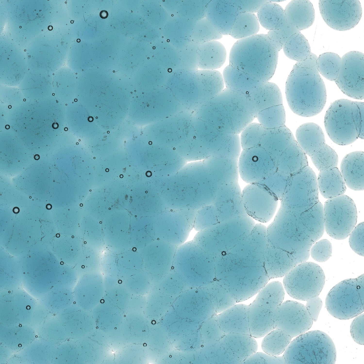 90 COE Frit Coarse Sea Blue Transparent - Stained Glass Express 