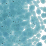 90 COE Frit Coarse Sea Blue Transparent - Stained Glass Express 