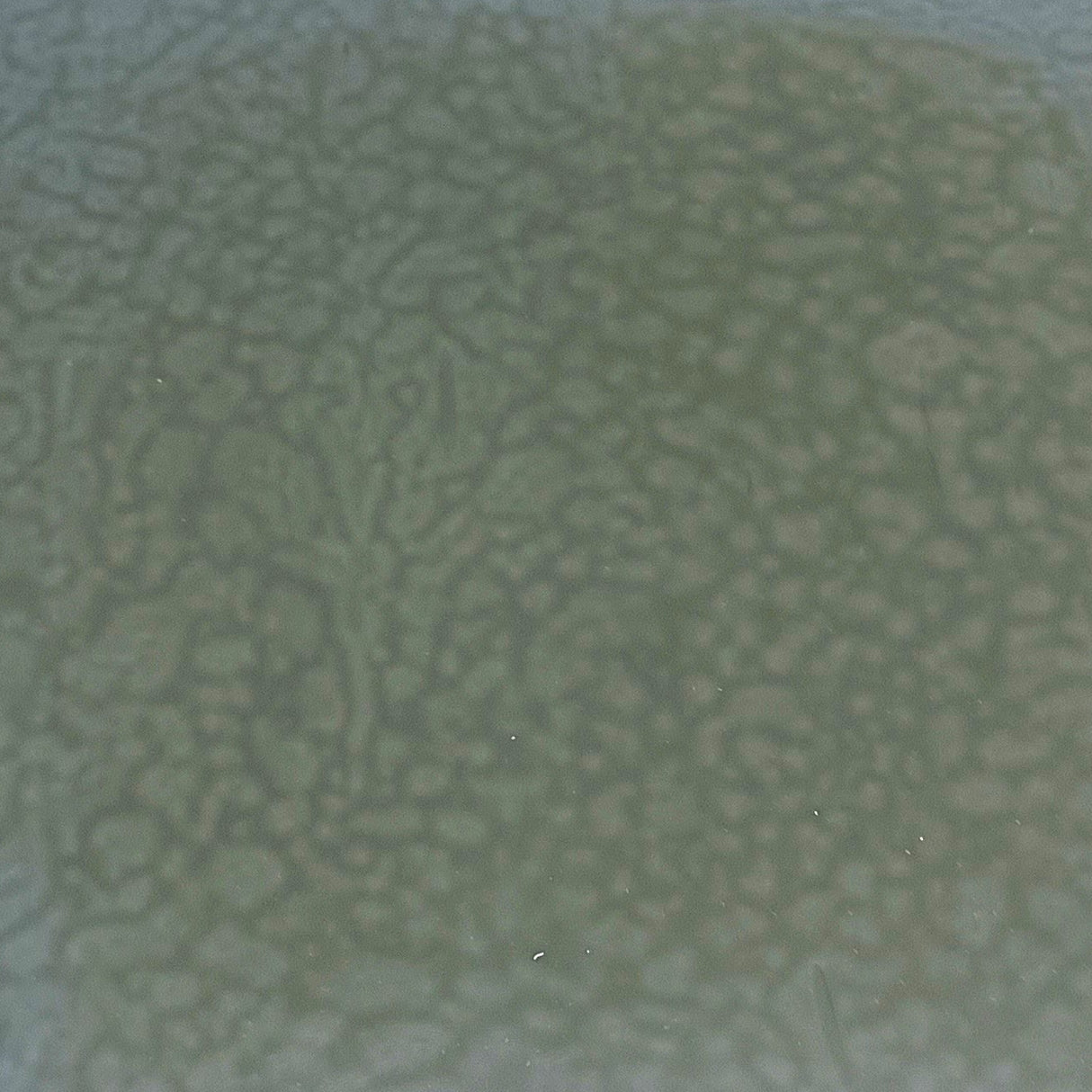 90 COE Gray Green Opal