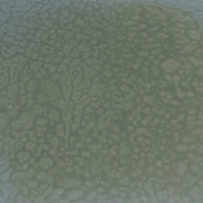 90 COE Gray Green Opal