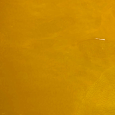 90 COE Pumpkin Orange_2