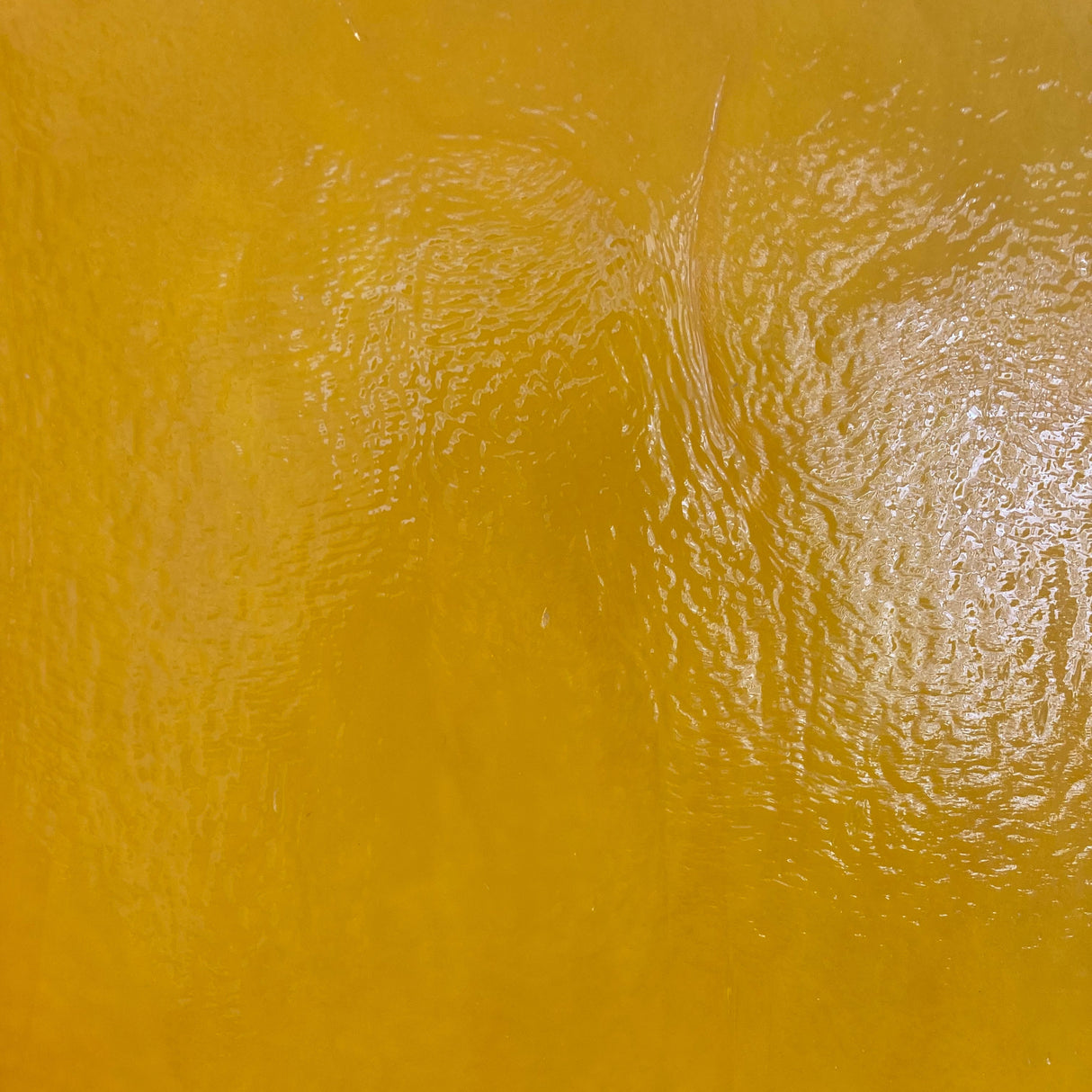 90 COE Pumpkin Orange_5