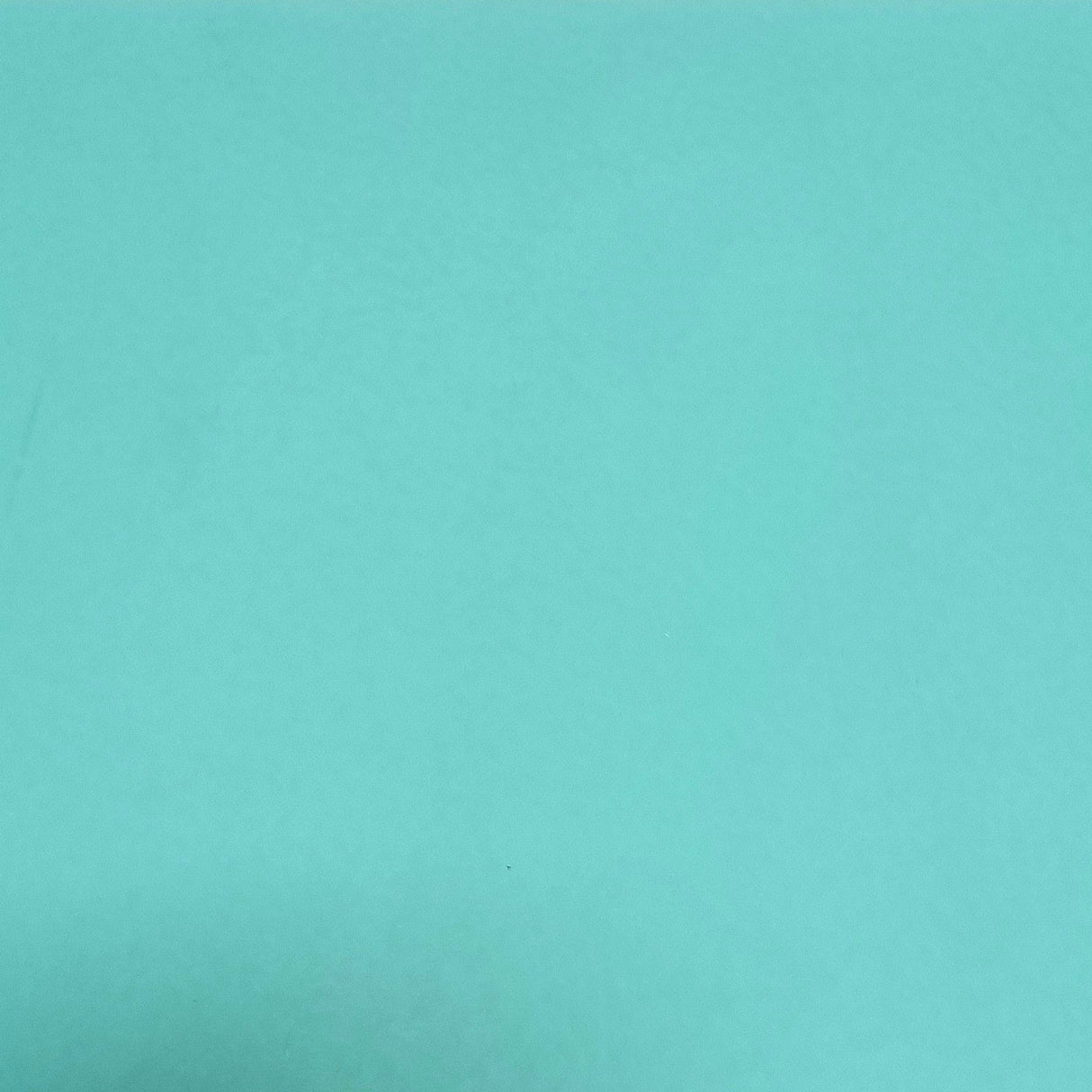 90 COE Robin's Egg Blue Opal