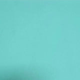 90 COE Robin's Egg Blue Opal