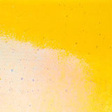 90 COE Yellow DR IRID_6