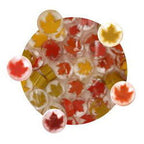 90 Coe Autumn Leaves Millefiori - Stained Glass Express 