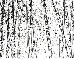 90 Coe Clear, Black Frit & Streamers - Stained Glass Express 