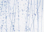 90 Coe Clear, Blue, Aqua Frit, Blue Streamers - Stained Glass Express 