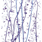 90 Coe Lavender Frit, Streamers - Stained Glass Express 