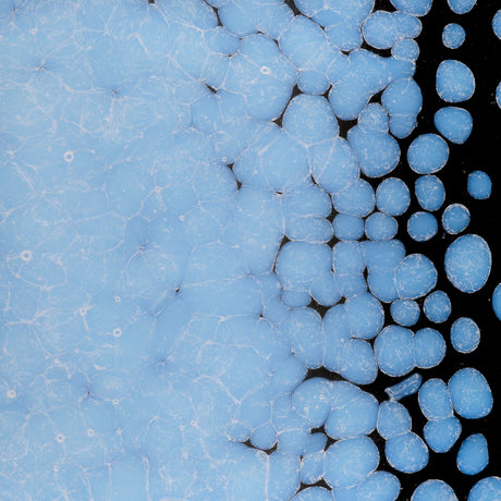 90 Frit Opal Course Opaline Striker